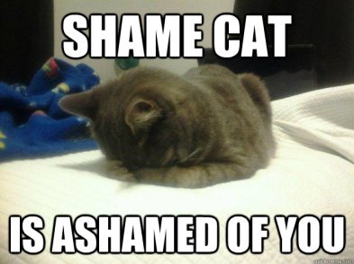 shame cat